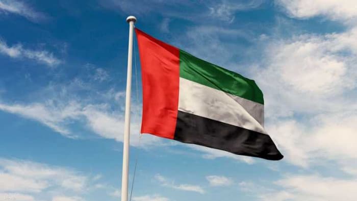 UAE urges UN to expand Sudan arms ban