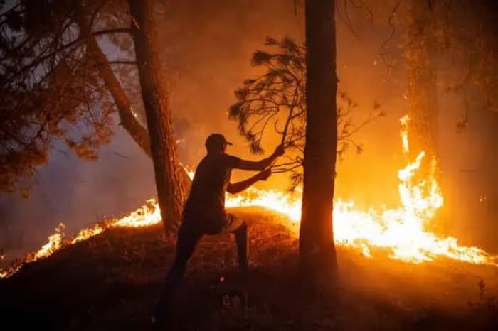 Fire prompts evacuation of 500 on Croatian island