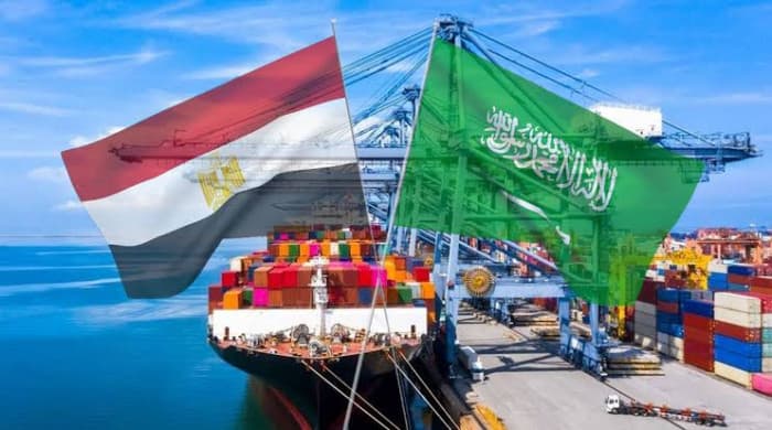 زيادة ملحوظة في التجارة بين مصر والسعودية