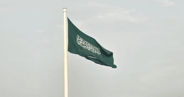 Saudi Arabia's short-term business revenues rise 4.9%