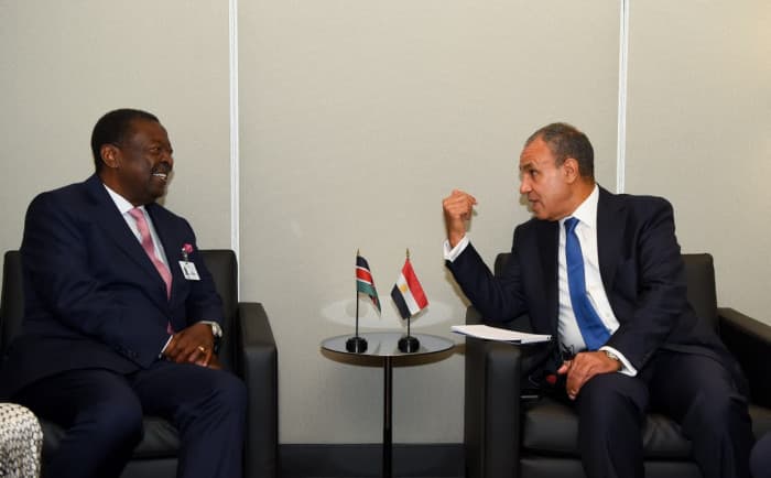Egyptian and Kenyan foreign ministers on regional issues