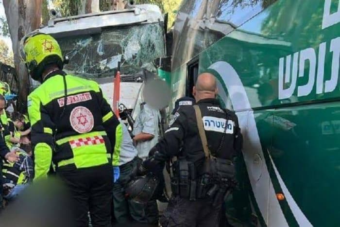 Israeli ambassador's son injured in hit-and-run