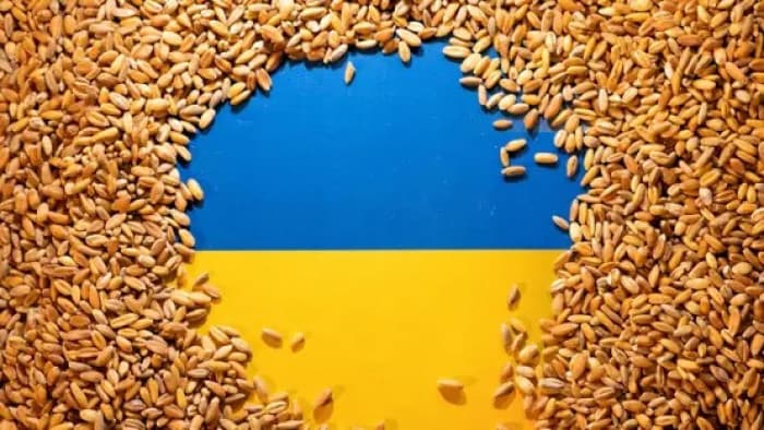 Ukraine's grain exports fall 9% weekly
