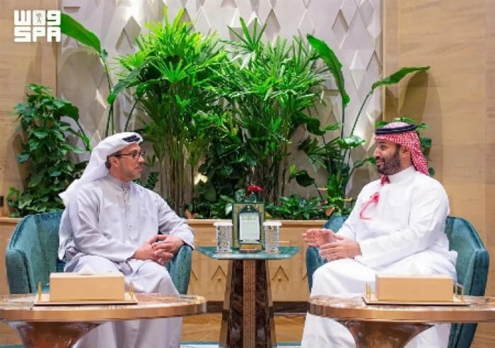 Saudi Crown Prince and UAE VP discuss regional updates