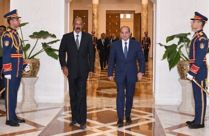 Sisi and Afwerki Oppose Foreign Interference