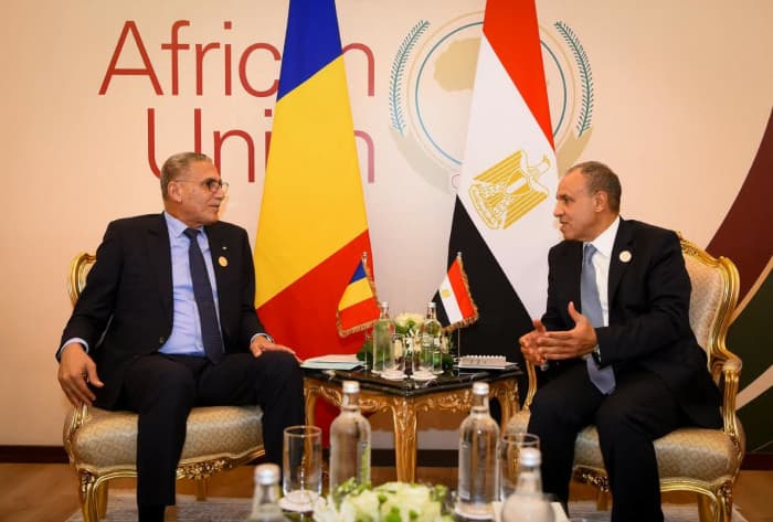 Egyptian Foreign Minister Meets Chadian Counterpart