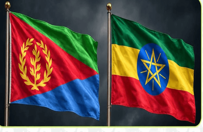 Ethiopian Groups Challenge Horn Stability