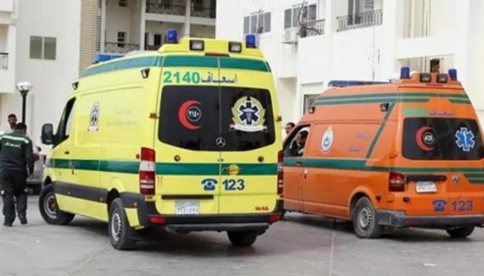 وفاة حامل داخل سيارة إسعاف في المنوفية