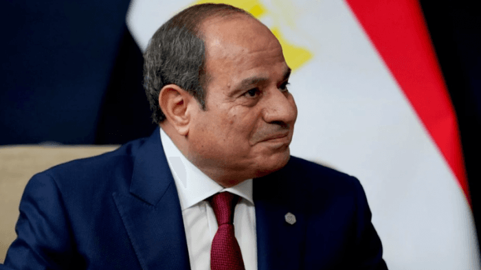 Al-Sisi emphasizes Egypt's security and resource protection