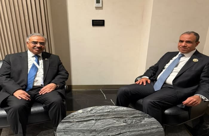 Egyptian Foreign Minister Meets Eight Developing Countries Chief