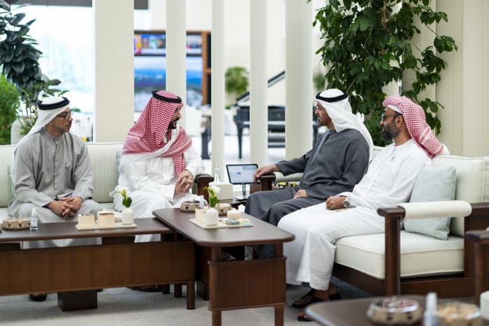 UAE President Meets Prince Khalid
