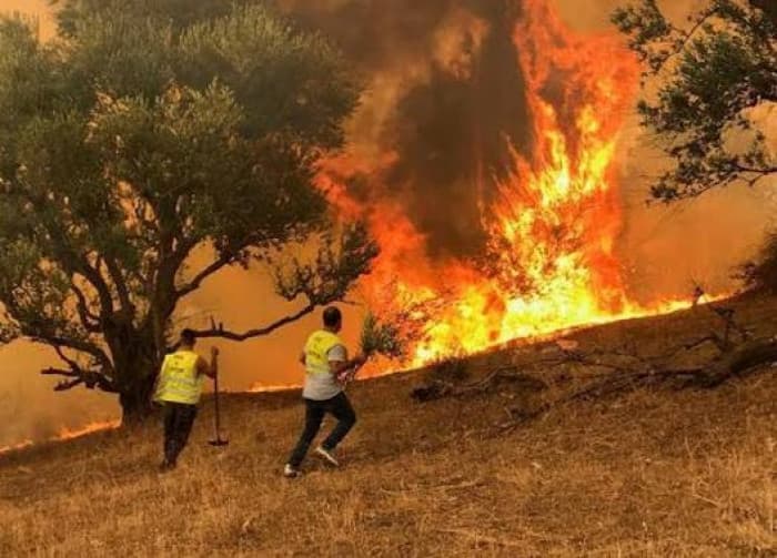 Indonesia fires destroy 1.9M hectares