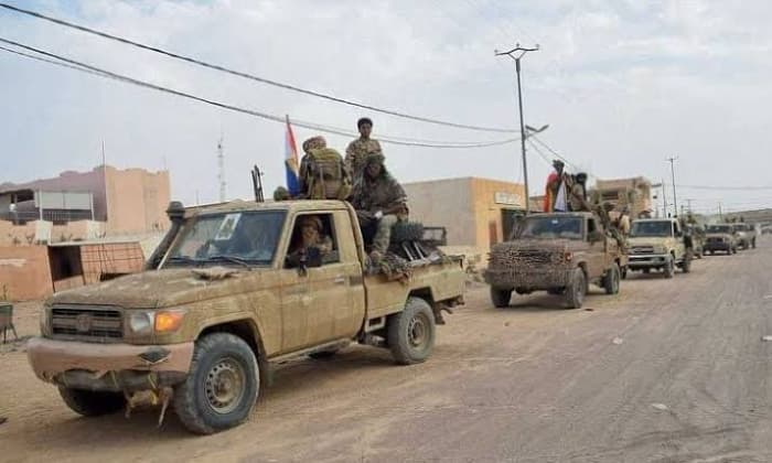 مسلحون يقفون 48 مدنيًا في مالي