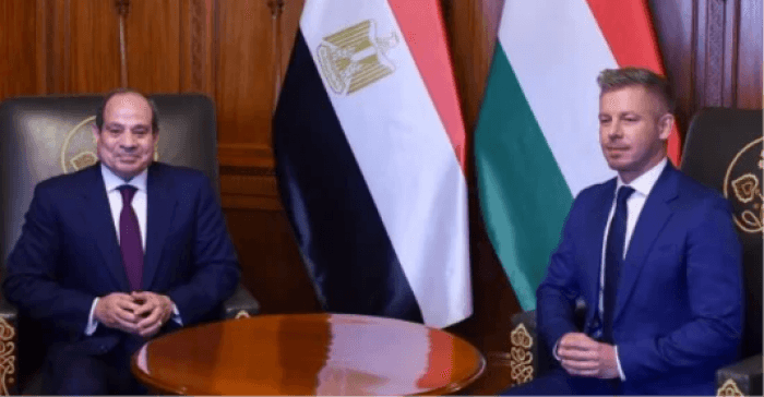 السيسي: أمنهما متصل