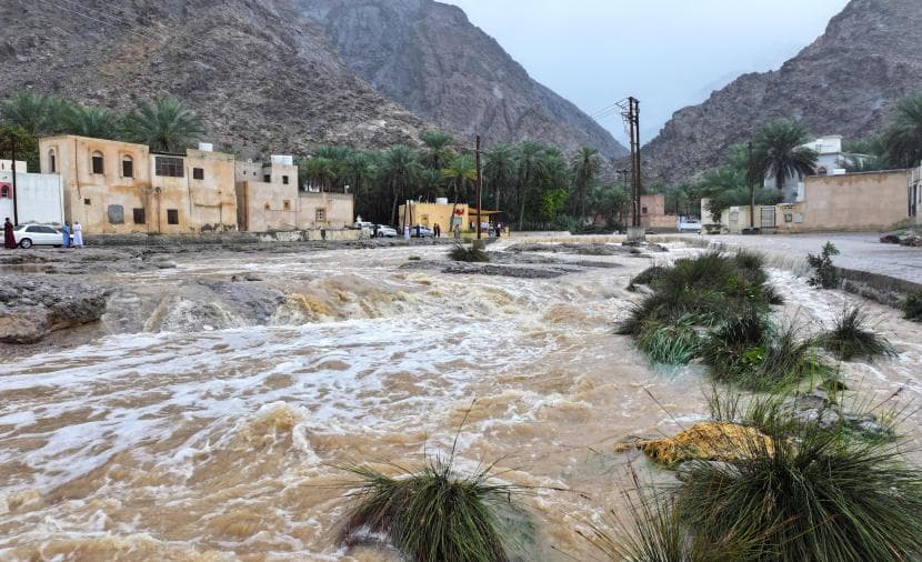 Video shows rains rejuvenate Green Mountain lands