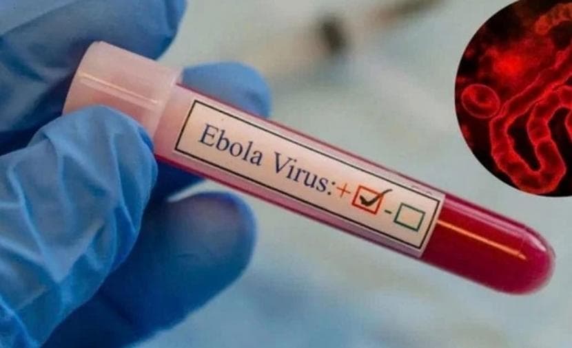 1830 confirmed Ebola virus cases and over 600 deaths reported