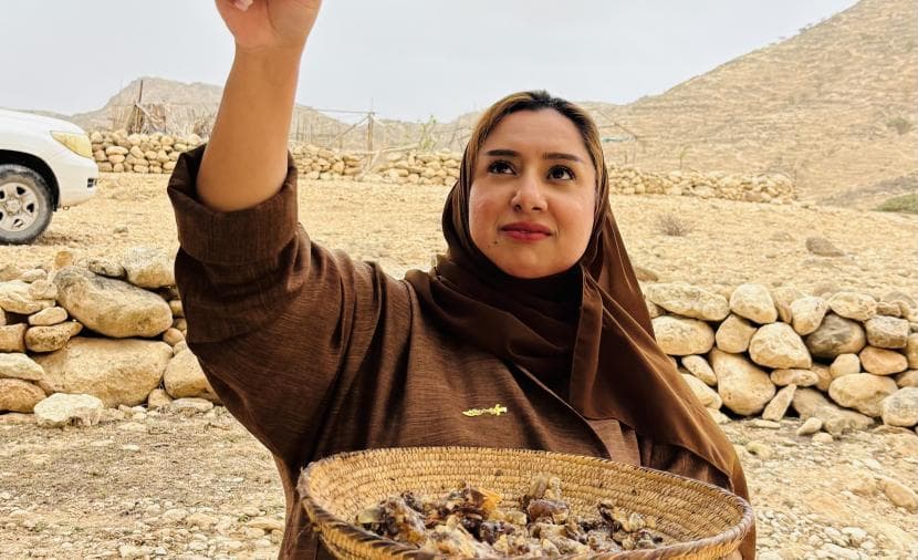 Dhofar sites impress Gulf media during autumn tour