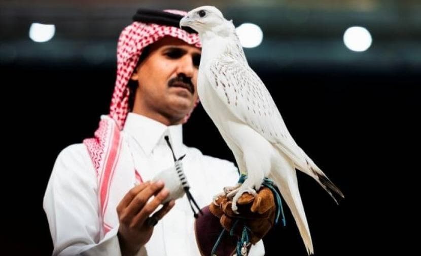 أغلى صقر يباع في مزاد السعودية