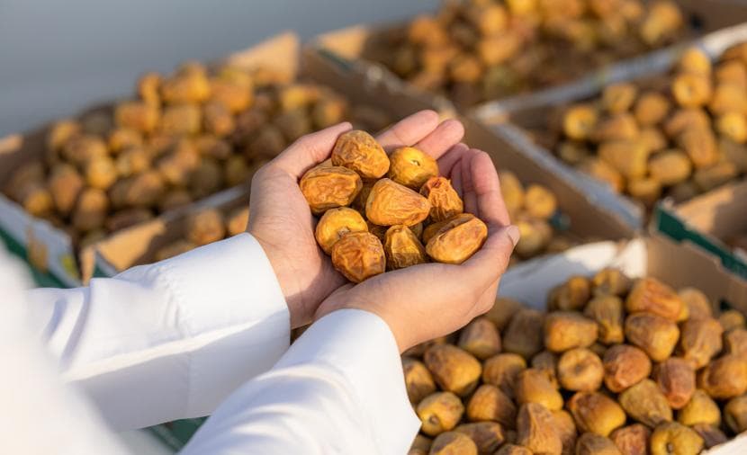 Origin of Sukari Dates name