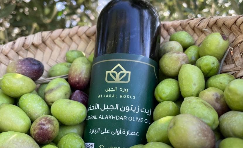 Citizens Urge Growth in Olive Sector