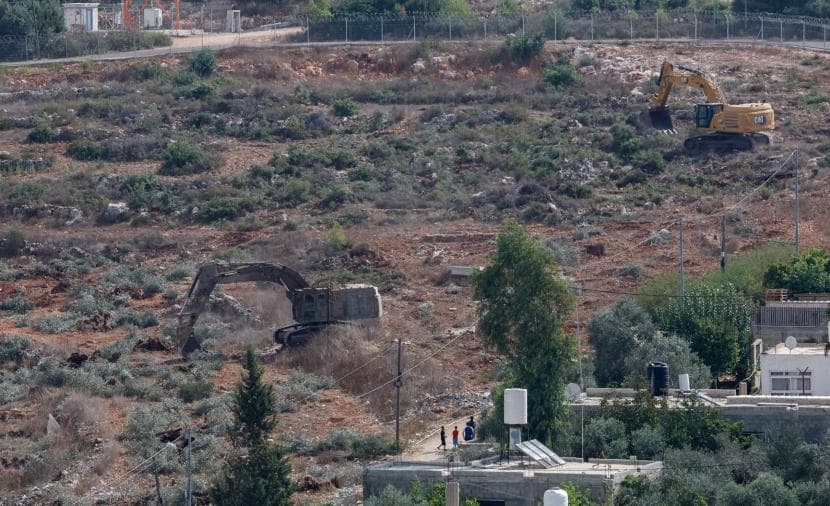 Olive Trees Amid Zionist Conflict