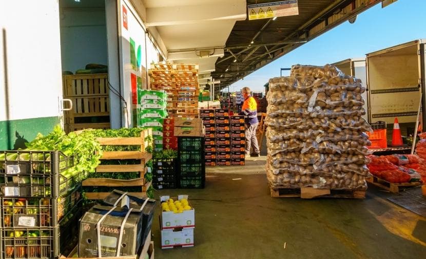 Food Security Projects and Investment Opportunities Valued at 220.2M Riyals