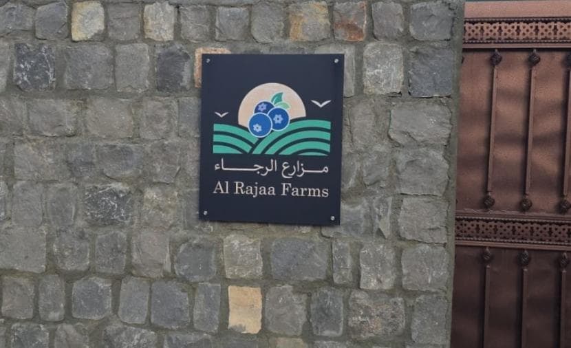 أول نجاح لتوت الأزرق في عُمان
