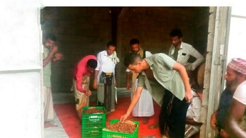 Al-Dreihmi starts dried date harvest reception