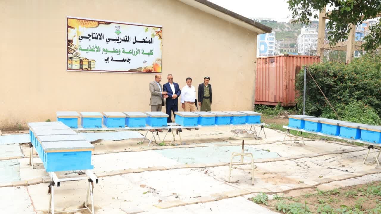 Ibb University Launches Apiary Program