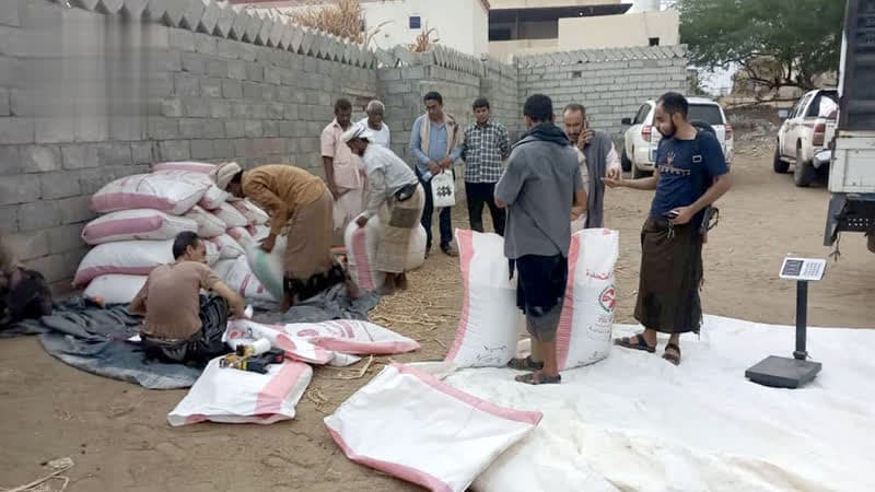 باجل يورد مؤسسة الحبوب الدفعة الـ15 من بذور فول الصويا