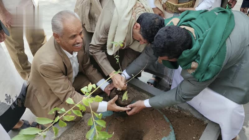 Tree planting program in Ma'in schools