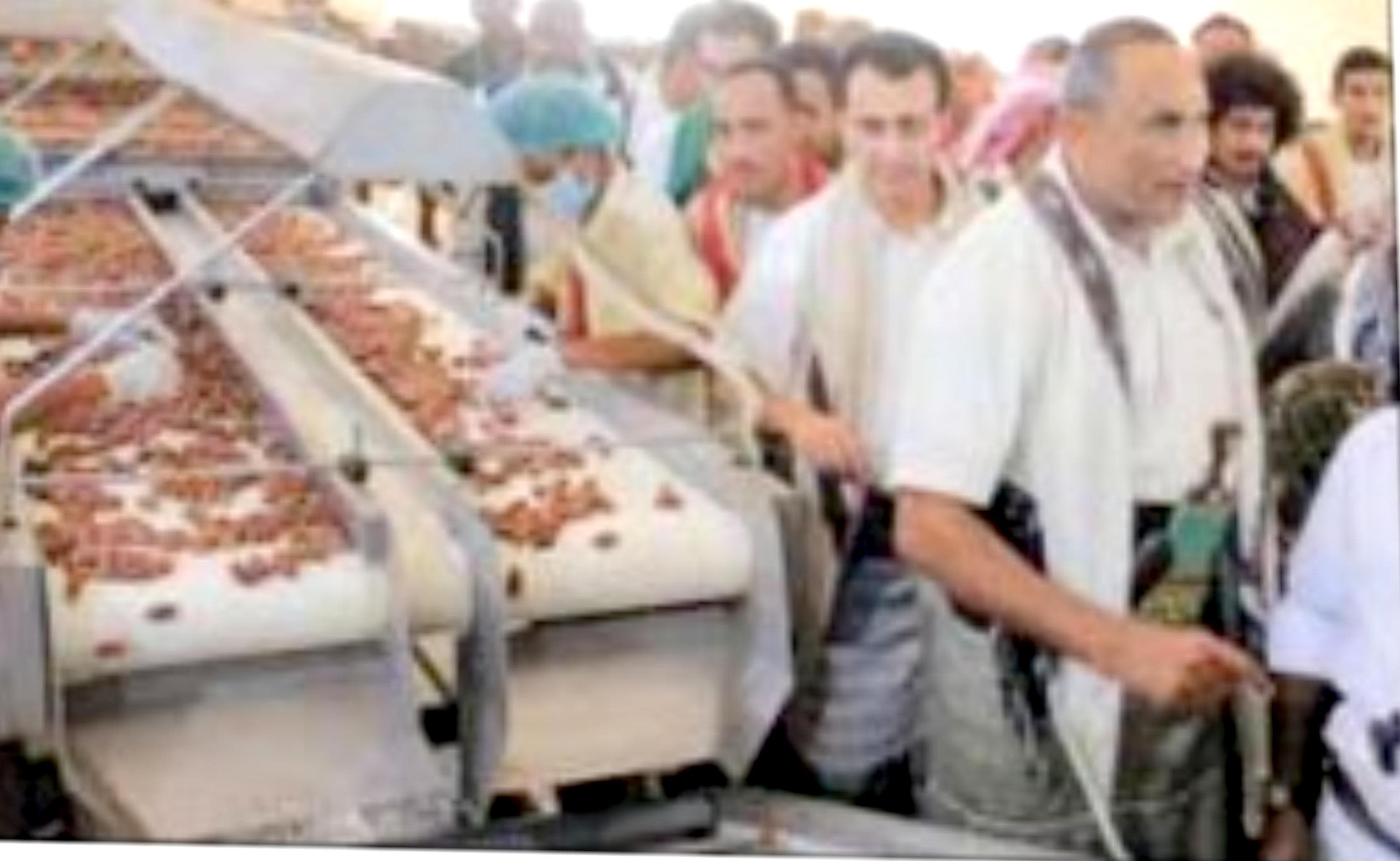 Ramadan: 300-ton contract farming and Nakheel Al-Jah factory