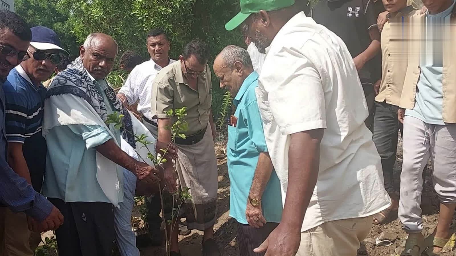Hleisisi Starts Agriculture Project in Al Hudaydah Schools