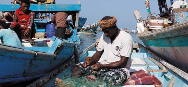 Fishermen-Vendor Link Boosts Economy