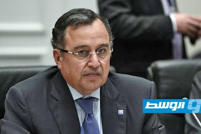 الجامعة العربية تدعم مشاركة فلسطين في الأمم المتحدة