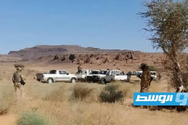 كشف ملابسات «ذئاب الصحراء» الكولومبية