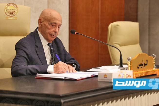 النواب يوقف مشروع قانون مجلس الأمة