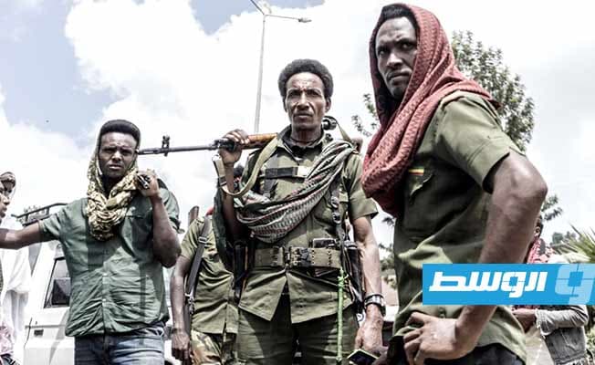 Tigray rebels retreat from Afar after attack