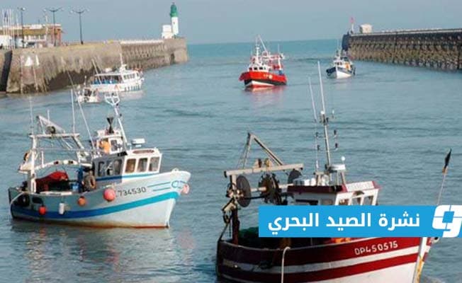 Coastal Visibility Forecast
