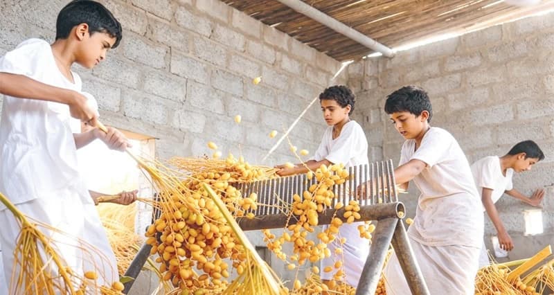 Hassad Al-Mabisali promotes food security and heritage