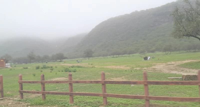 Dhofar Autumn Season Highlights Greenery, Mist, and Tourism Projects Enhancing its Appeal