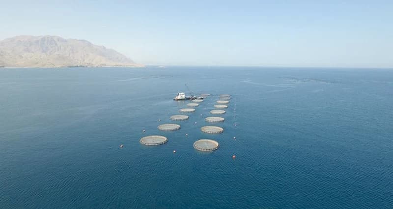 Middle East Maritime Boosts Economy