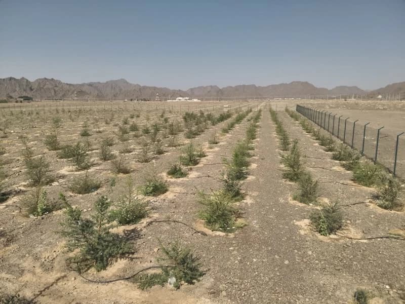 جهود لتعزيز التزام المنشآت بالمعايير البيئية في الداخلية