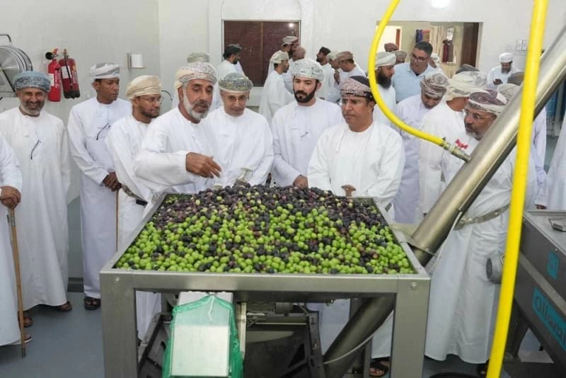 افتتاح معصرة زيت حديثة في الجبل الأخضر