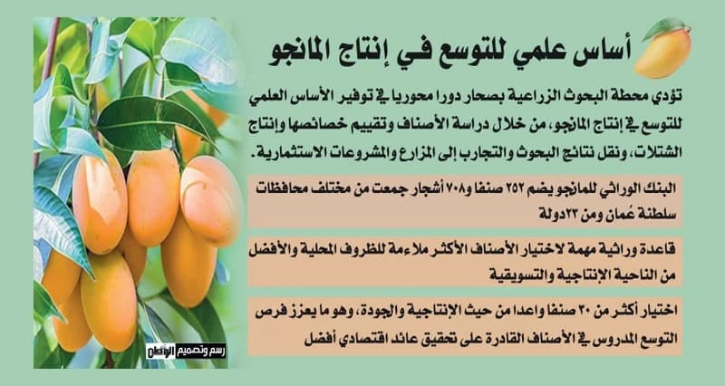 فرص استثمارية في إنتاج المانجو
