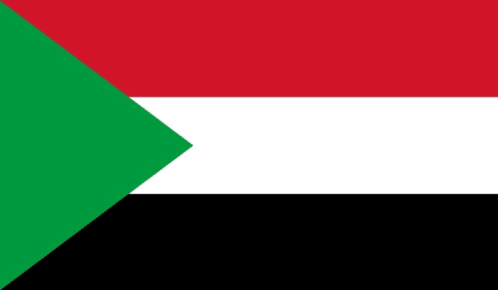 Sudanese drones strike kills 16 in West Kordofan