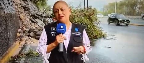 Live report hit by car in Mexico