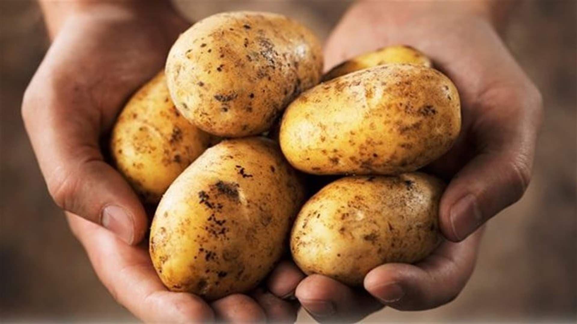 Potatoes support weight loss under condition