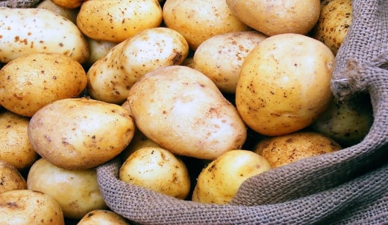 White potatoes and weight loss