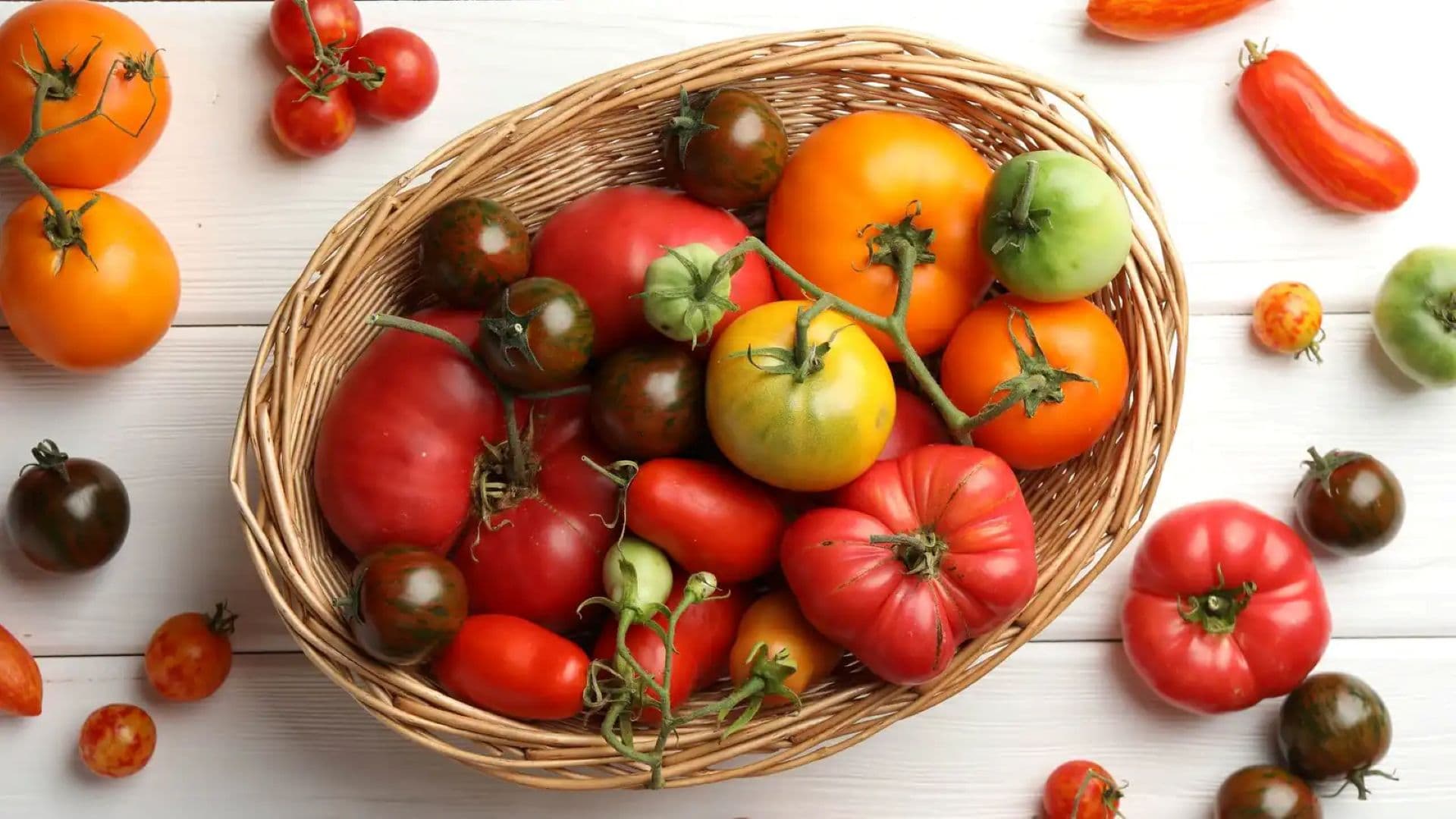Daily tomato intake impacts fatty liver treatment